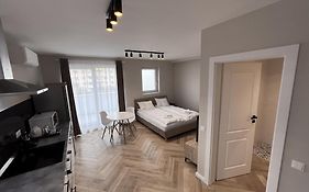 The Cozy Nest In Cluj-Napoca